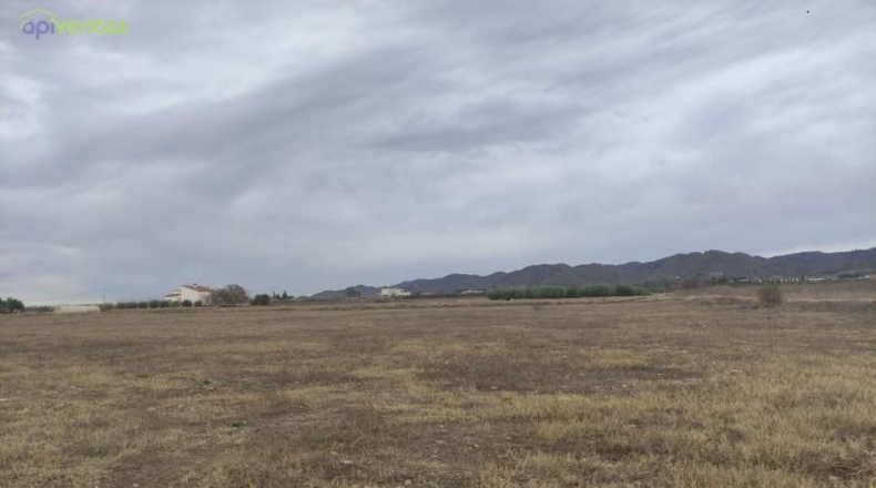 Múrcia - Lorca - 5497m2