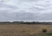 Non-developable land for sale on España, Lorca, ref: TR120897 photo