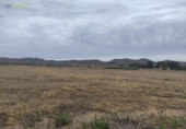 Non-developable land for sale on España, Lorca, ref: TR120897 photo