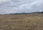 Non-developable land for sale on España, Lorca, ref: TR120897 photo