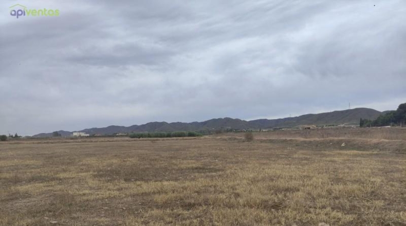Múrcia - Lorca - 5497m2
