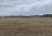 Non-developable land for sale on España, Lorca, ref: TR120897 photo