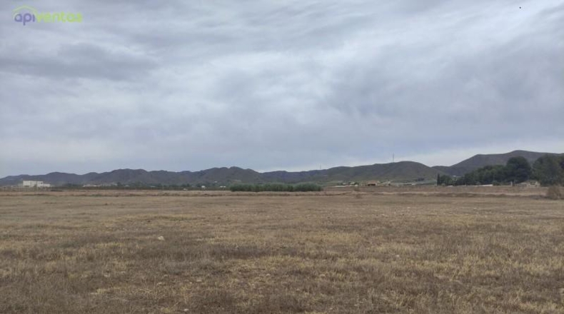 Múrcia - Lorca - 5497m2