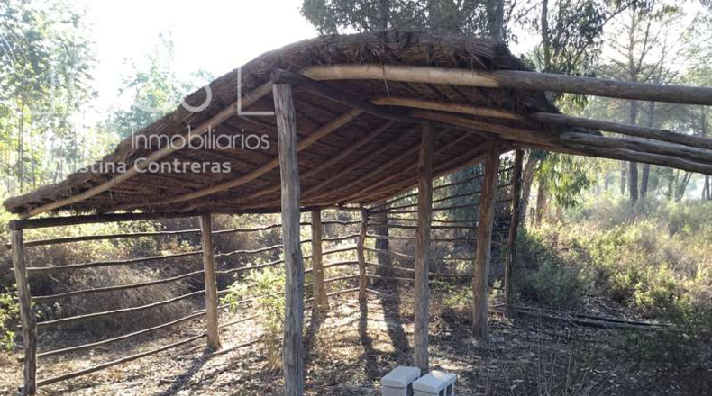 Huelva - Almonte - 40000m2