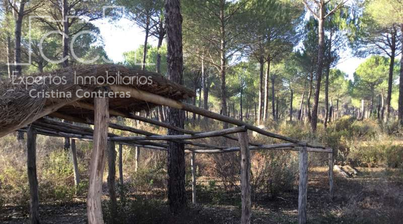 Huelva - Almonte - 40000m2