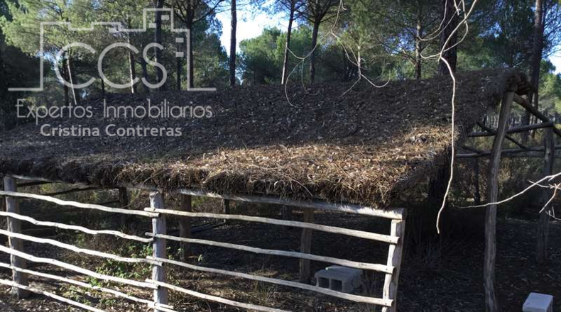 Huelva - Almonte - 40000m2