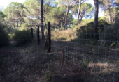 Земля на продажу у города Almonte Фото