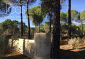 Земля на продажу у города Almonte Фото