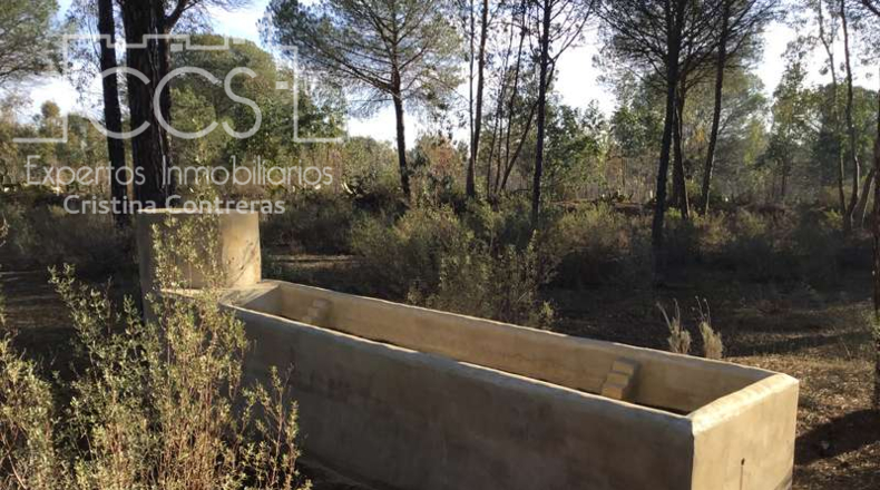 Huelva - Almonte - 40000m2