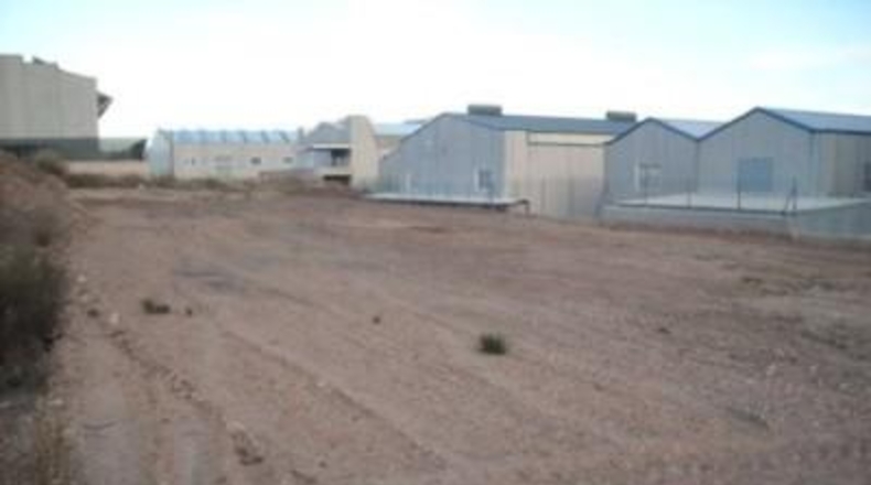 Murcia - Calasparra - 1200m2