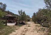 Xalet independent amb terreny en venda a la España, la Torre del Comte, ref.: TR297397 foto