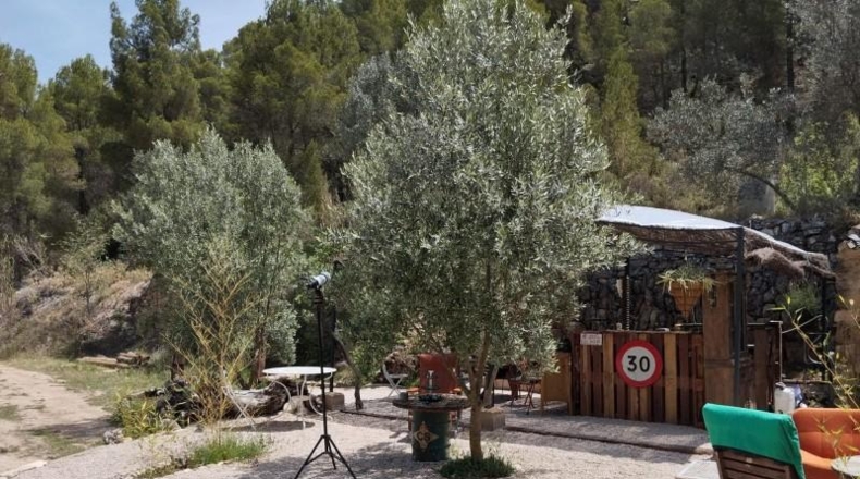 Teruel - Torre del Compte - 21591m2