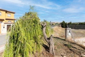Foto 11