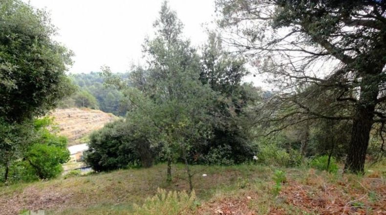 Barcelona - Sant Feliu de Codines - 800m2