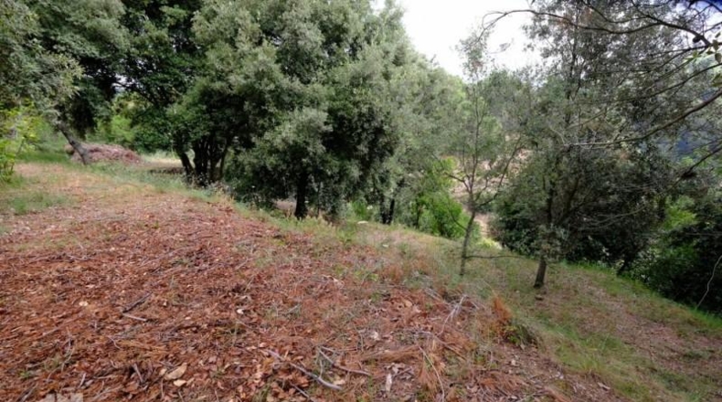 Barcelona - Sant Feliu de Codines - 800m2
