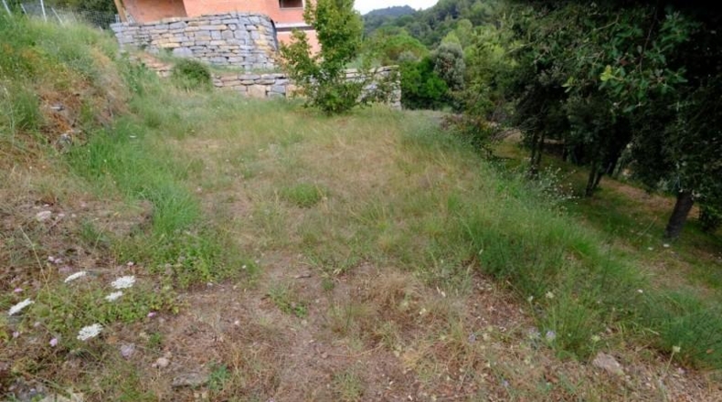Barcelona - Sant Feliu de Codines - 800m2