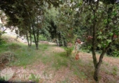 Городская земля под застройку на продажу у города Sant Feliu de Codines Фото