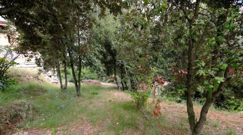 Barcelona - Sant Feliu de Codines - 800m2
