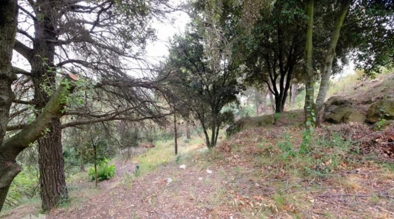 Barcelona - Sant Feliu de Codines - 800m2