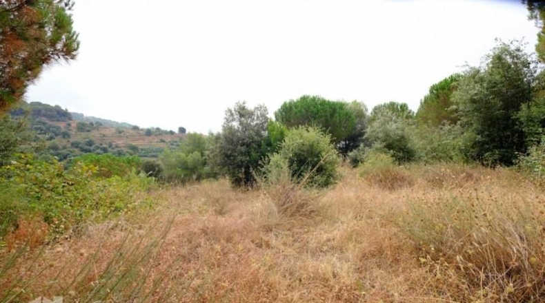 Barcelona - Sant Feliu de Codines - 800m2