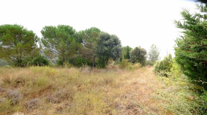 Barcelona - Sant Feliu de Codines - 800m2