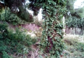 Sòl urbà en venda a la España, Calafell, ref.: TR124824 foto