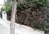 Sòl urbà en venda a la España, Calafell, ref.: TR124824 foto