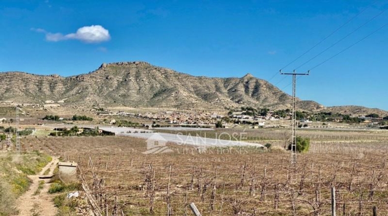 Alicante - Aspe - 11040m2