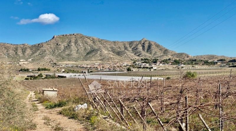Alicante - Aspe - 11040m2