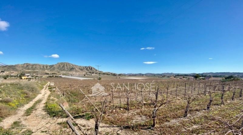 Alicante - Aspe - 11040m2
