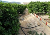 Parcel·la urbanitzable en venda a la España, Múrcia, ref.: TR328384 foto