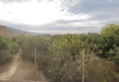 Parcel·la urbanitzable en venda a la España, Múrcia, ref.: TR328384 foto