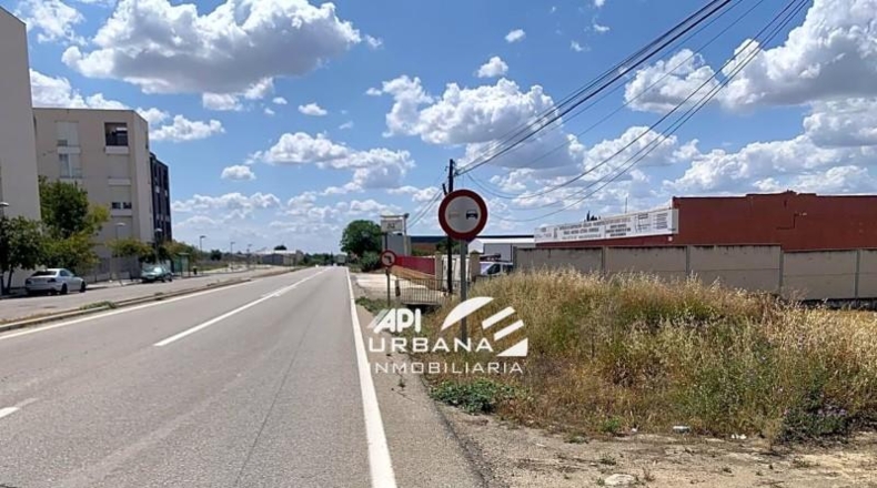 Córdoba - Lucena - 4665m2