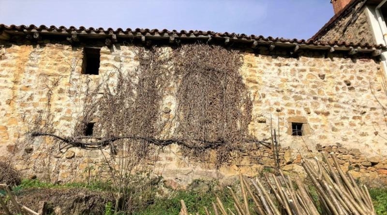 Cantabria - Cosío - 278m2
