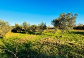 Casa de campo con terreno en venta en la España, Tudela, ref: TR224661 foto