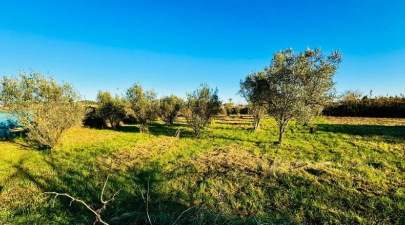 Navarra - Tudela - 2800m2
