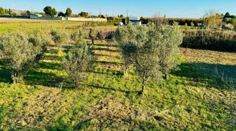 Navarra - Tudela - 2800m2