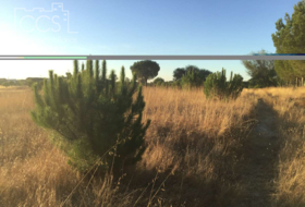 Almonte 30000&nbsp;m²