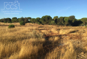 Almonte 30000&nbsp;m²