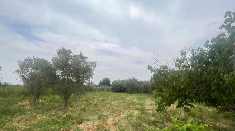 Navarra - Tudela - 2800m2