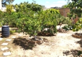 Parcel·la urbanitzable en venda a la España, Gerena, ref.: TR318686 foto