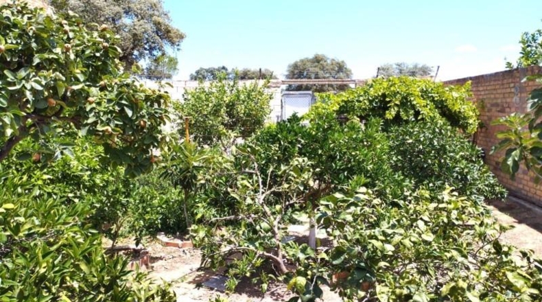 Álava - Vitoria - 300m2