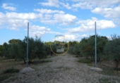 Xalet independent amb terreny en venda a la España, Banyeres de Mariola, ref.: TR301811 foto