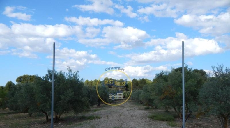 Alicante - Bañeres - 3776m2