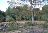Xalet independent amb terreny en venda a la España, Banyeres de Mariola, ref.: TR301811 foto