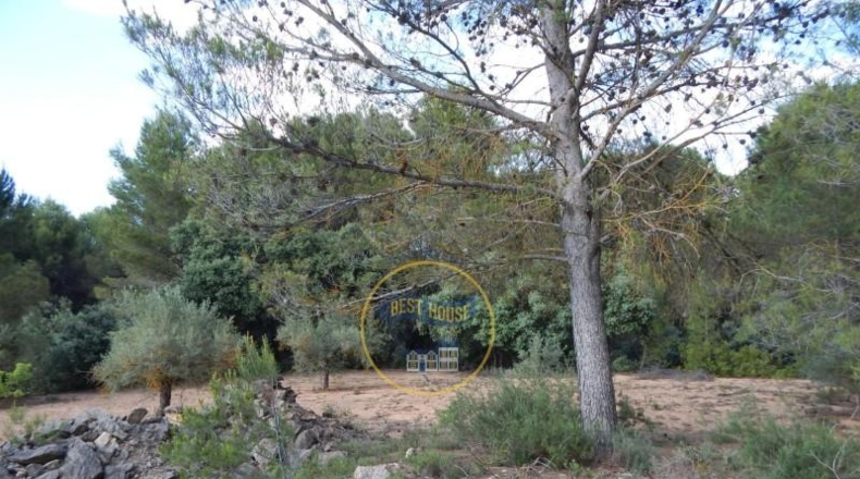 Alicante - Bañeres - 3776m2