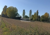Land suitable for development for sale on España, Abades, ref: TR120974 photo