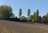 Land suitable for development for sale on España, Abades, ref: TR120974 photo