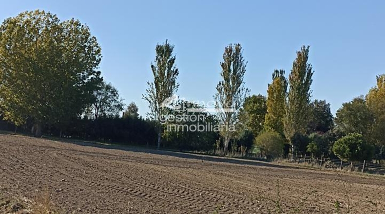 Segovia - Abades - 1668m2