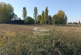 Abades 1668&nbsp;м²
